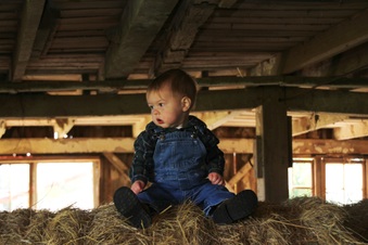 Enlarge photo 160