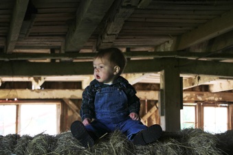 Enlarge photo 161