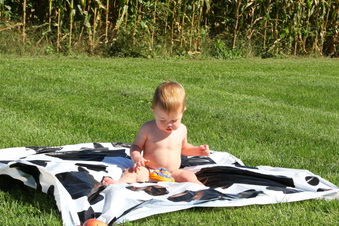 Enlarge photo 276