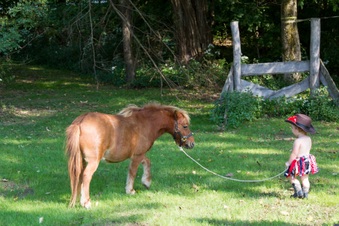 Enlarge photo 121
