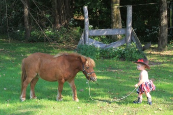 Enlarge photo 122