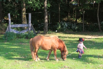 Enlarge photo 124