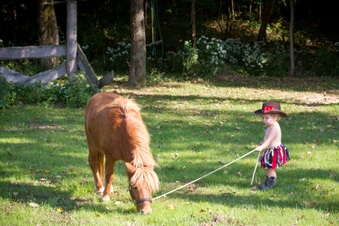 Enlarge photo 125