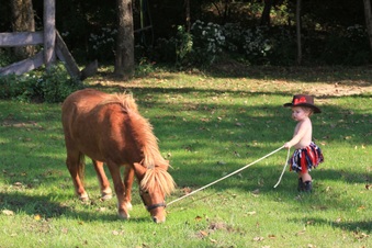 Enlarge photo 127