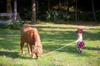 Enlarge photo 128