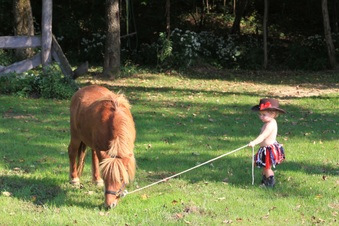 Enlarge photo 129