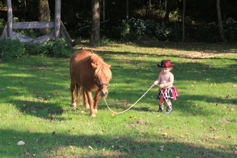 Enlarge photo 132