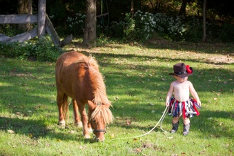 Enlarge photo 133