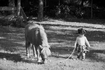 Enlarge photo 134