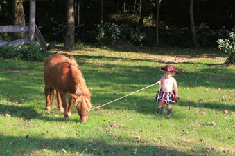 Enlarge photo 135