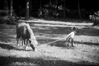 Enlarge photo 137