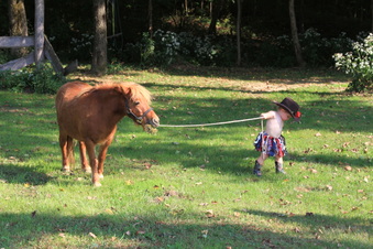 Enlarge photo 138