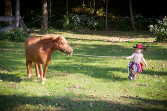 Enlarge photo 139