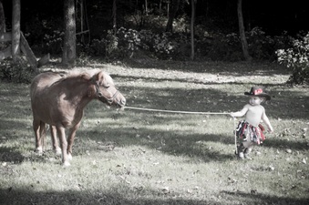 Enlarge photo 140