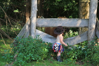 Enlarge photo 146