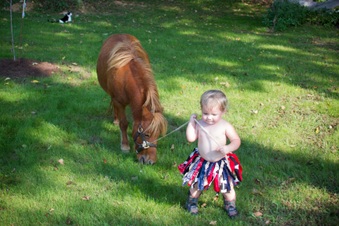 Enlarge photo 158