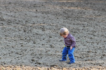 Enlarge photo 336