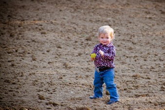 Enlarge photo 339