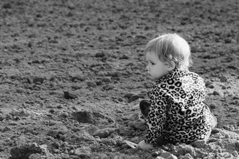 Enlarge photo 353