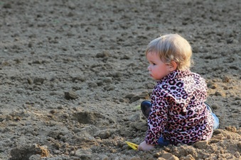 Enlarge photo 354