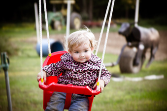 Enlarge photo 376