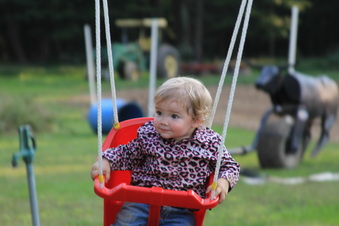 Enlarge photo 377