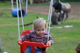 Enlarge photo 378