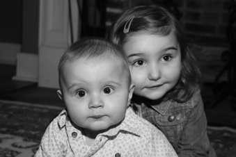Enlarge photo 278