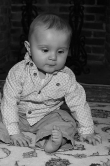 Enlarge photo 269