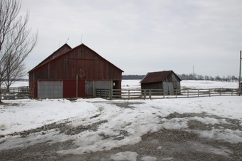 Enlarge photo 45