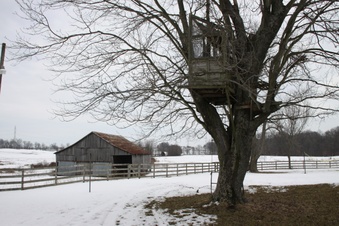 Enlarge photo 44
