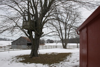 Enlarge photo 43
