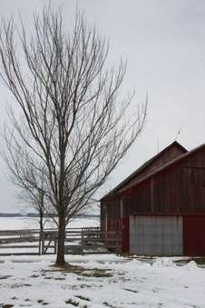Enlarge photo 41