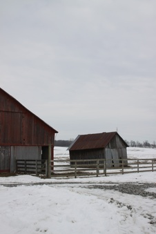 Enlarge photo 42