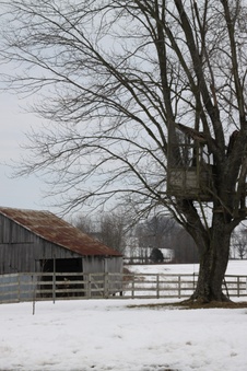 Enlarge photo 39