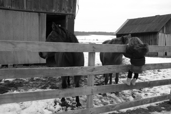 Enlarge photo 8