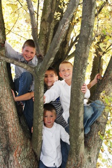 Enlarge photo 146