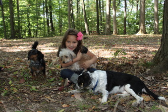 Enlarge photo 41