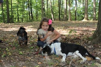 Enlarge photo 42