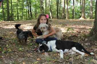 Enlarge photo 43