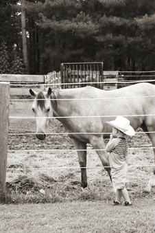 Enlarge photo 44