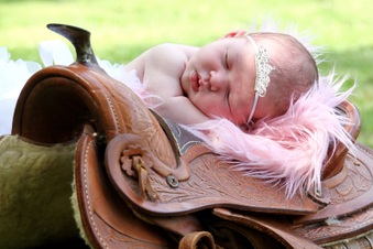 Enlarge photo 130