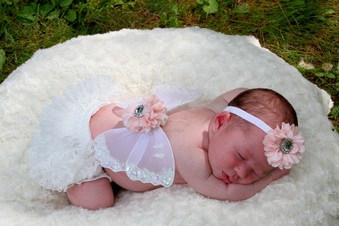 Enlarge photo 147
