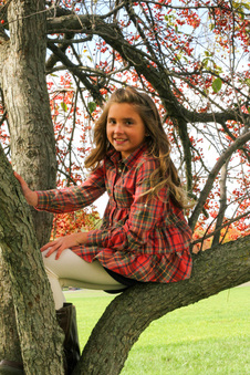 Enlarge photo 66