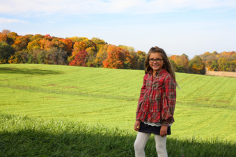 Enlarge photo 93