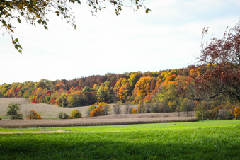 Enlarge photo 116