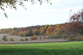 Enlarge photo 117