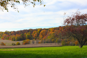 Enlarge photo 118