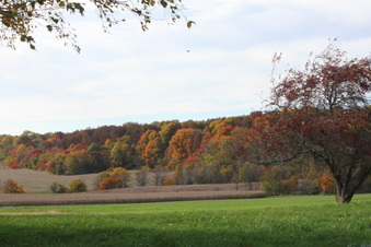 Enlarge photo 119