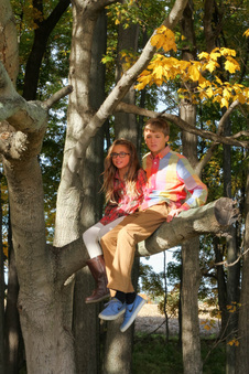 Enlarge photo 238